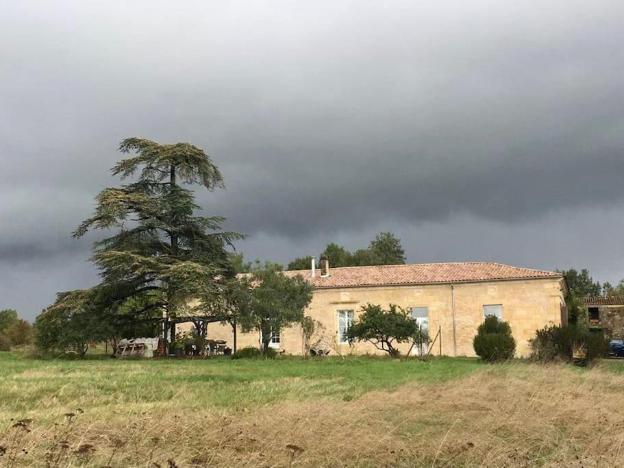 Beau Gite Dans Domaine Viticole & Arboricole Cursan Buitenkant foto